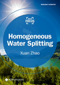 Homogeneous Water Splitting