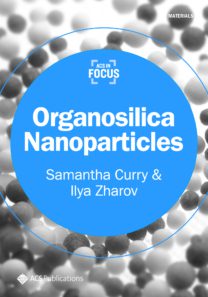 Organosilica Nanoparticles