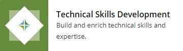 Technical Skills Development